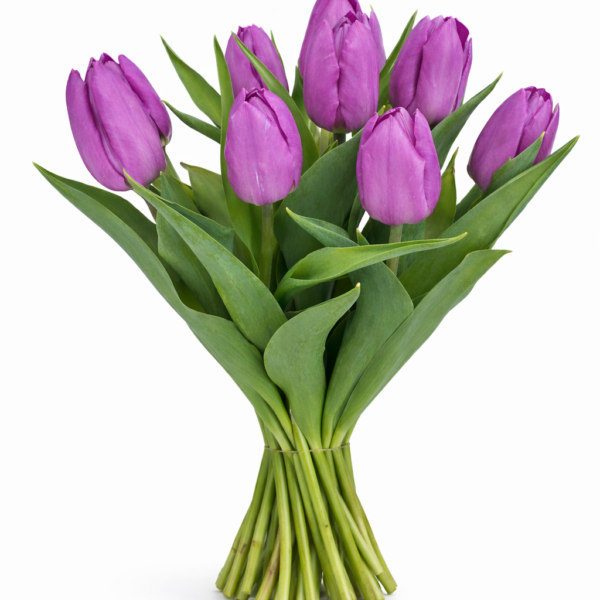 Ramo Tulipanes