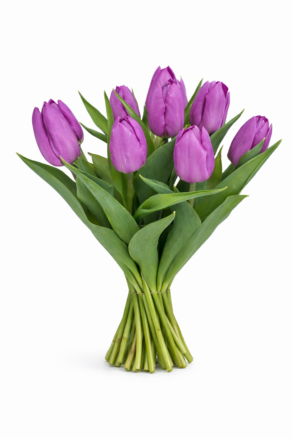 Ramo Tulipanes